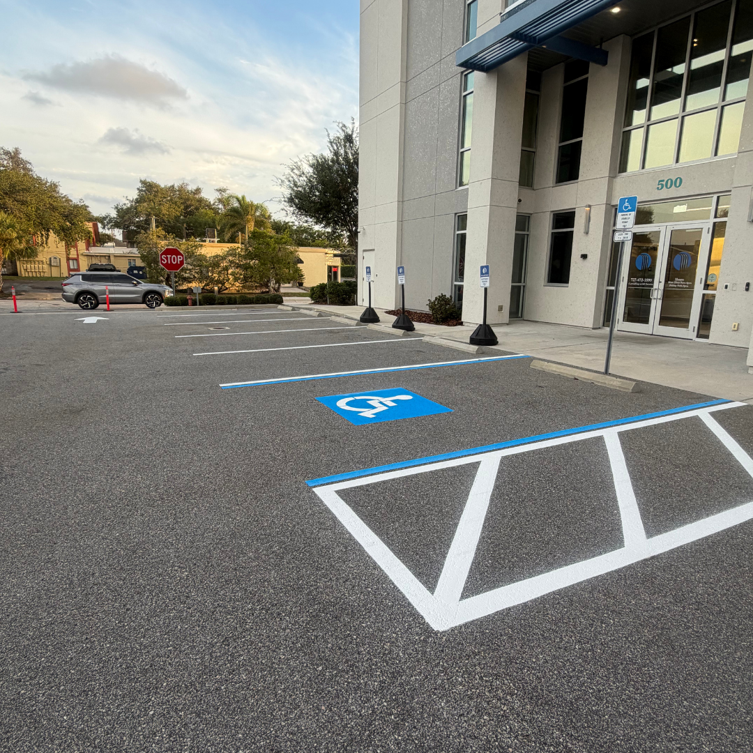 Freshly striped commercial parking lot in Clearwater, FL