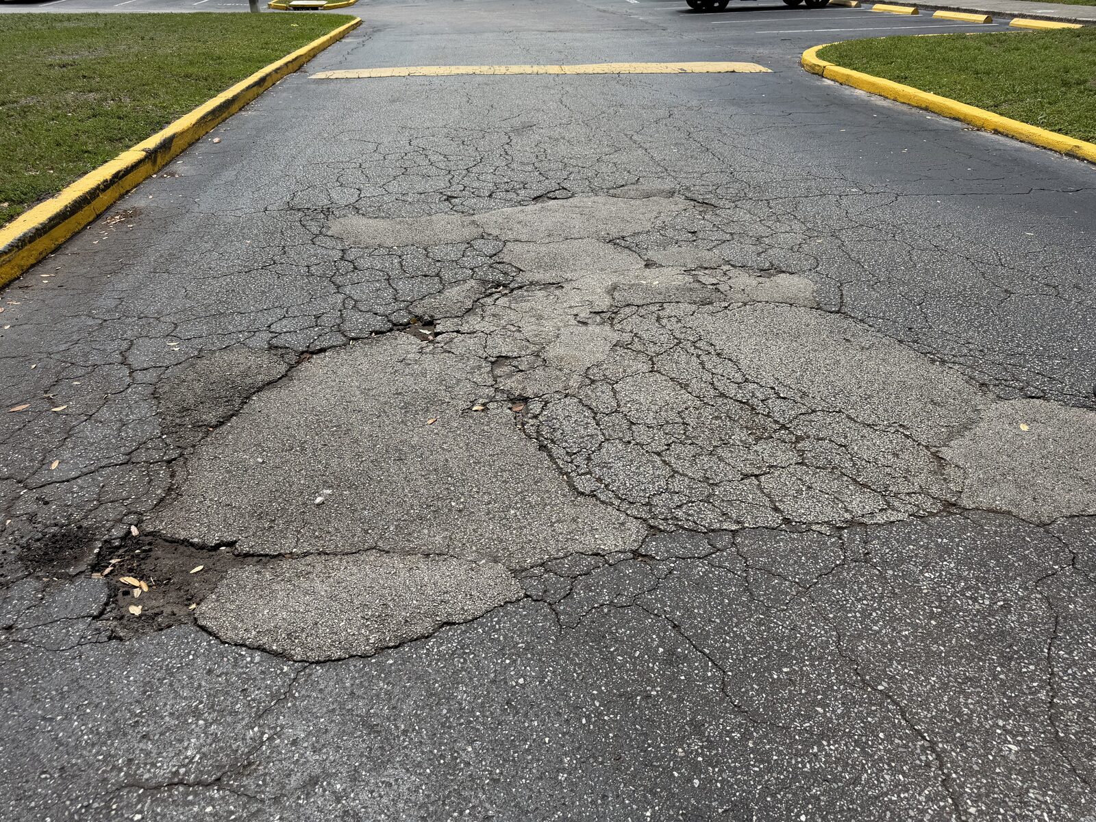 Alligator cracking on a commercial parking lot in Tampa Bay