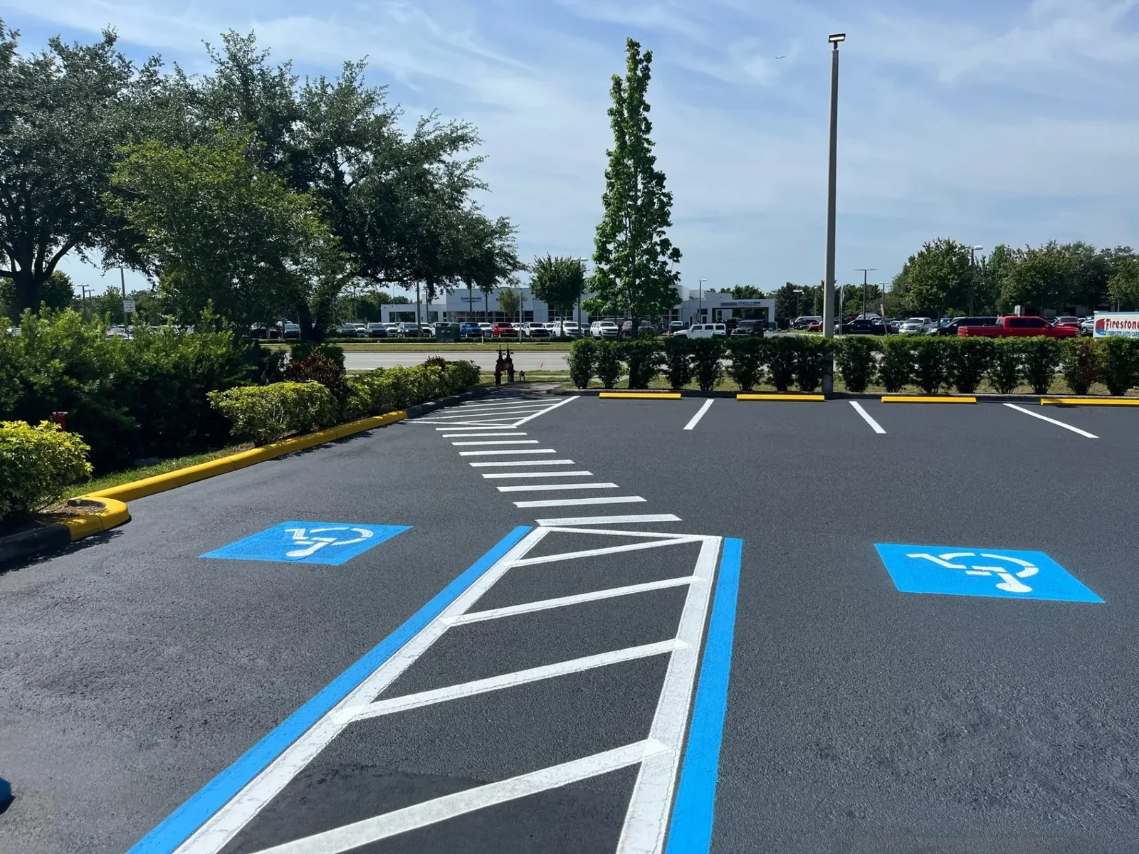 Freshly striped ADA accessible parking spaces with access aisles and handicap symbols on a commercial parking lot